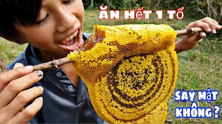 Thử Thách Bắt Và Ăn Hết 1 Tổ Mật Ong Ruồi To Nhất | Catch and eat honey