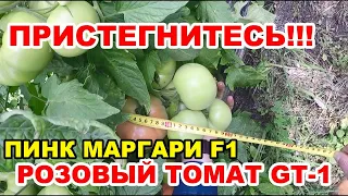 ПРИСТЕГНИТЕСЬ!!!))) Индетерминантный РОЗОВЫЙ ТОМАТ ПИНК МАРГАРИ F1. Часть №5