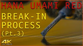 Hana Umami Red - Break-in Process - Part 3 - Vinyl