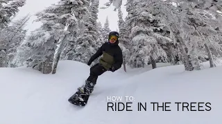 How to Snowboard in the Trees | 3 Simple Tips to Riding Confidently in the Trees and Gladed Terrain