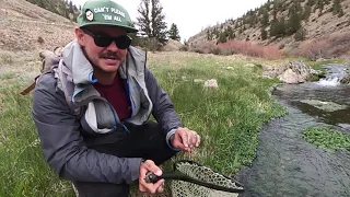 Chasing a Buena Vista Grand Slam! (Mostly fishing, but also a Travel Update Vlog)