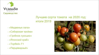 Лучшие сорта томата на 2020 год для открытого грунта по итогам 2019
