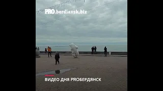 ТАНЦЫ БЕЛОГО МЕДВЕДЯ В БЕРДЯНСКЕ