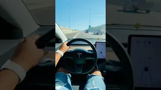 Tesla Model 3 Daily Driving POV #tesla #teslamodel #teslamotors #teslamodels #teslalife #teslaowner