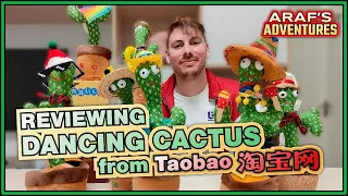 Reviewing Dancing Cactus from TAOBAO (TAOOOBAOOOOOO📢📢📢) Taobao Reviews