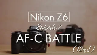 Z6 vs D750 AF Burst Battle (ACTUAL HIT RATES)