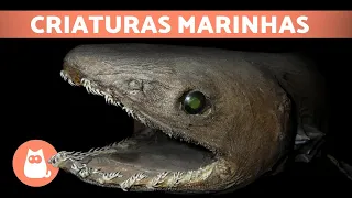 Os 7 ANIMAIS MARINHOS mais RAROS DO MUNDO