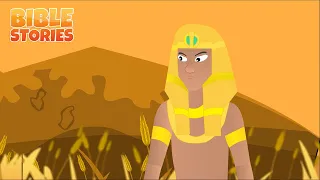 The Story of Joseph & More | Bible Stories Compilation Video