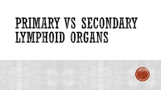 Primary vs Secondary Lymphoid (Lymphatic) Organs