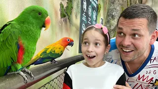 Sofia and family trip in Zoo! They saw large parrots and many other animals