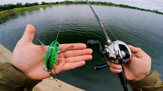 Bass CRUSHED this Crazy Japanese Topwater Lure ! (Jackall Pompadour)