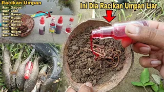 Racikan Umpan Terbaik Buat Ikan Gabus Dan Ikan Lele || Hanya 5 Ribu