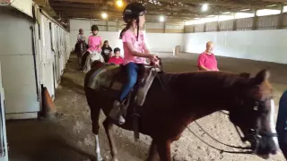 Girl Falling Off of a Horse At Beginners Lessons - Epic Fail