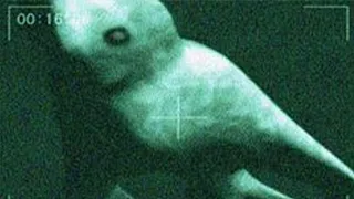 Navy Seals Capture Terrifying Underwater Encounter With Alien Lifeform