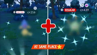 Spawn Lake trio shiny + regular shiny at same place ( 1 am )