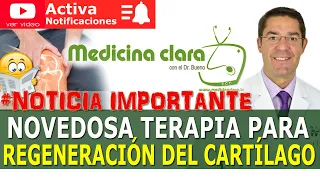 REGENERACION del CARTILAGO de FORMA EFICAZ ¡Nuevo descubrimiento! | Medicina Clara