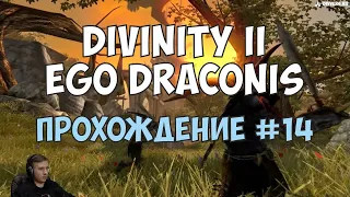 Divinity II: Ego Draconis - Прохождение #14