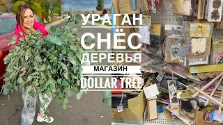 ВЛОГ / Dollar Tree / Развал в магазине / Уже Пасхальный декор / Для Юльки )))))))