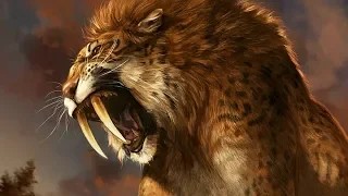 Saber Tooth Tiger | Ice Age Prehistoric Mammals | Science Documentary 2019