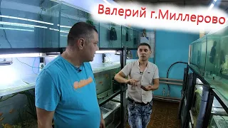 Развести - пол дела, а ты сумей продать.