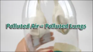 Polluted Air = Polluted Lungs