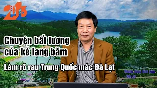 Làm rõ rau Trung Quốc mác Đà Lạt; chuyện bất lương của kẻ lang băm #diendan216