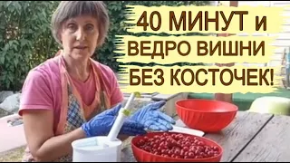 Как быстро удалить косточки из вишни. Устройство для удаления вишневых косточек.