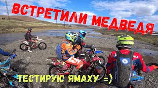 Эндурим на юг, встречаем медведя [ Avantis Enduro 250]