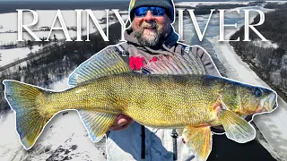 Spring Walleye on the RAINY RIVER (Up-to-Date Conditions 2023)