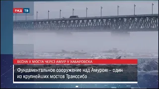 Видео недели! Мост в тумане