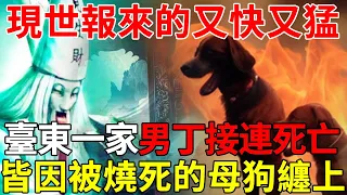 臺東一家男丁接連死亡，卻僅僅因爲一條母狗，現世報簡直來的又快又猛！高僧：全是報應！