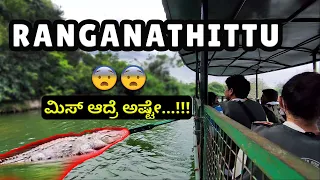 ರಂಗನತಿಟ್ಟು  ಪಕ್ಷಿಧಾಮ - Ranganathittu Bird Santuary | Srirangapatna Tourism| Beyond The Rides