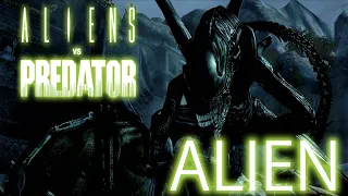 FOR THE QUEEN!!! | Aliens VS. Predator 2010 - ALIEN Walkthrough