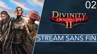 Divinity : Original SIn 2 - Découverte - 02