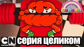 Гамбола | Сигнал + Подруга (серия целиком) | Cartoon Network