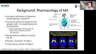 Pharmacotherapy for Methaphetamine Use Disorder