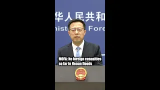 MOFA: No foreign casualties so far in Henan floods