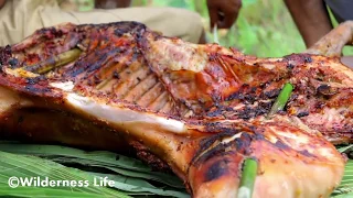 Primitive Technology - Find PIG by Trap in Forest - grilled Pig Eating extremely delicious