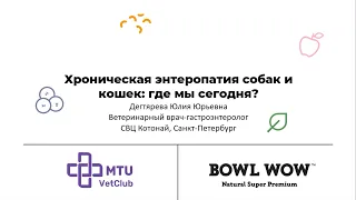 Вебинар MTU VetClub + BOWL WOW «Хронические энтеропатии собак и кошек»