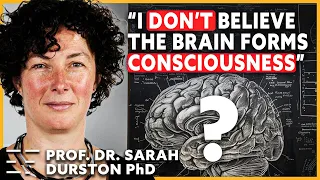 10 Years In Neuroscience: My Findings On The Mind | Prof. Dr. Sarah Durston PhD