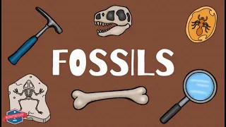 Fossils - Educational Earth Science Video for Elementary Students & Kids