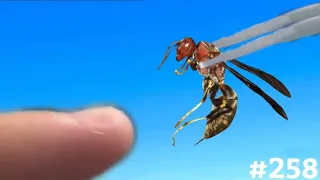 STUNG BY A METRICUS PAPER WASP (Polistes Metricus)