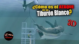 Great white shark swims into cage – Ataque De Tiburon Blanco. CURIOSIDADES ANIMALES. 3D