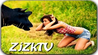 Приколы с животными №40. Fun with animals #40