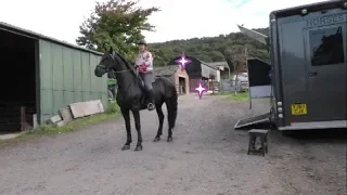Friesian Horse on a fun ride with lots of great cantering places
