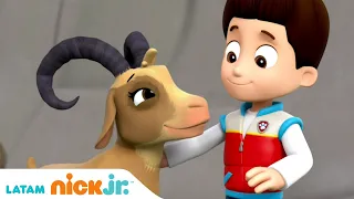 Paw Patrol, Patrulla de cachorros | Misión de rescate | Nick Jr. en Español