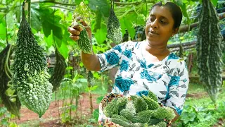 Three special bitter gourd recipes for healthy food meal  .village kitchen recipe.Sri Lanka foods