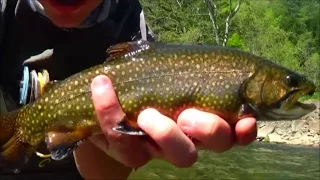 Fly Fishing Kettle Creek Potter County PA 2017