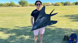 I Made a RC F-117 Nighthawk (And It Actually Flew!)