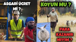 10 KOYUN ASGARİ ÜCRET EDER Mİ ?